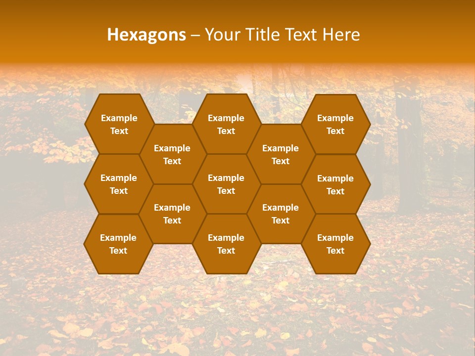 Vibrant Season Park PowerPoint Template