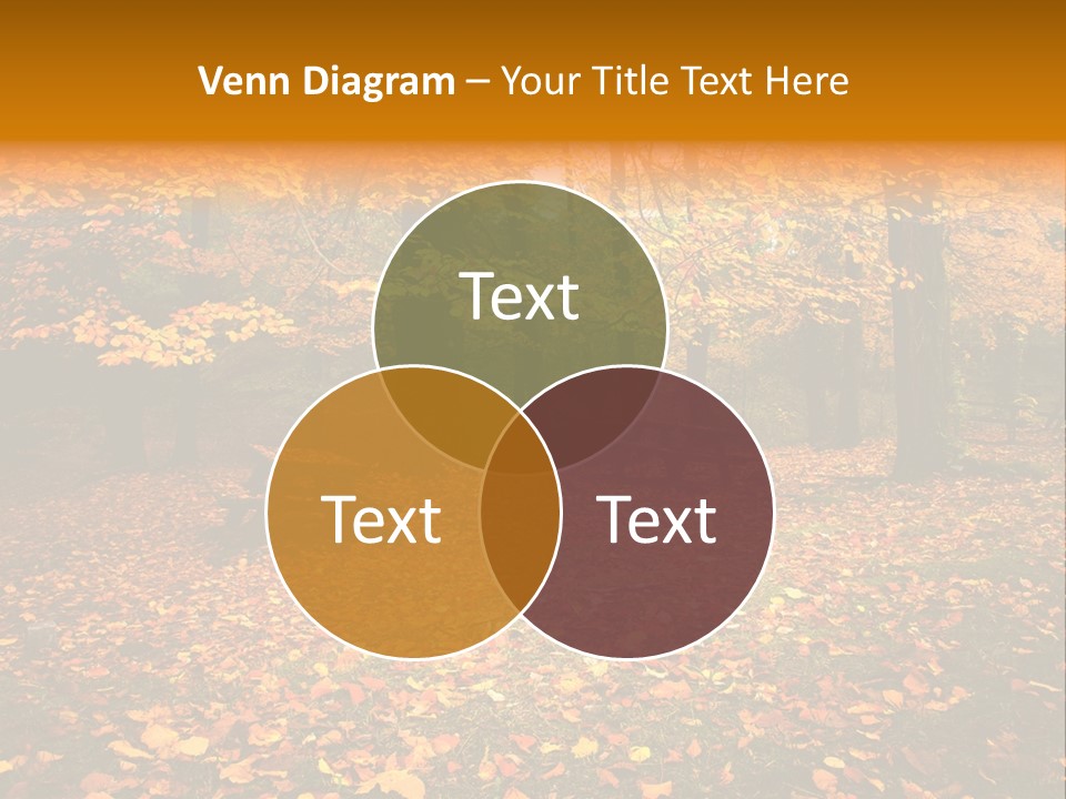 Vibrant Season Park PowerPoint Template