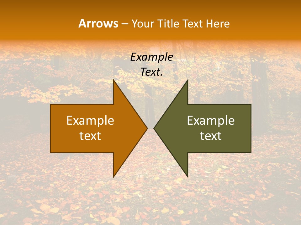 Vibrant Season Park PowerPoint Template