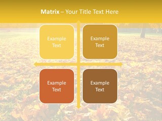 Light Plant Color PowerPoint Template