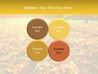 Light Plant Color PowerPoint Template