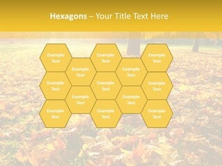 Light Plant Color PowerPoint Template
