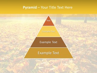 Light Plant Color PowerPoint Template