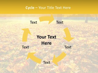 Light Plant Color PowerPoint Template