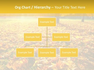 Light Plant Color PowerPoint Template