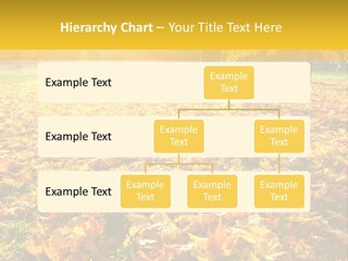 Light Plant Color PowerPoint Template