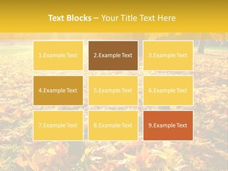 Light Plant Color PowerPoint Template