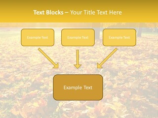 Light Plant Color PowerPoint Template