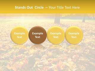Light Plant Color PowerPoint Template