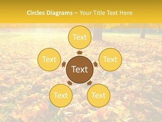 Light Plant Color PowerPoint Template