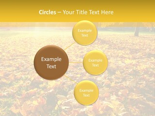 Light Plant Color PowerPoint Template