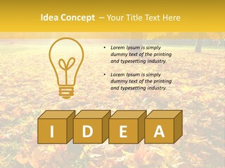 Light Plant Color PowerPoint Template