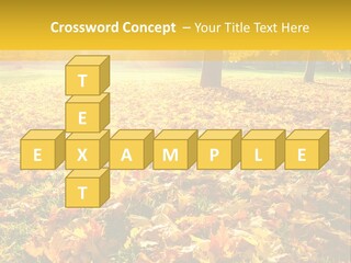 Light Plant Color PowerPoint Template