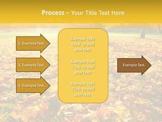 Light Plant Color PowerPoint Template