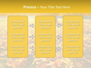 Light Plant Color PowerPoint Template