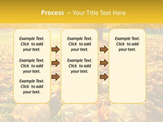 Light Plant Color PowerPoint Template