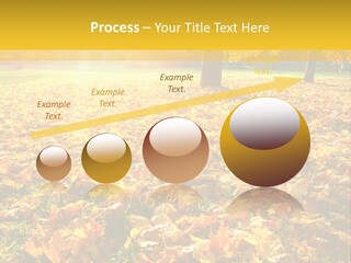 Light Plant Color PowerPoint Template