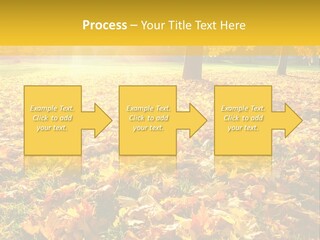 Light Plant Color PowerPoint Template