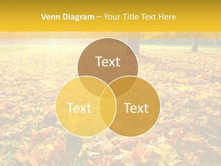Light Plant Color PowerPoint Template