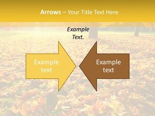 Light Plant Color PowerPoint Template