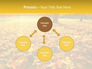 Light Plant Color PowerPoint Template