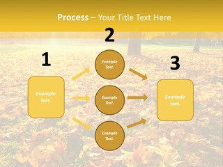 Light Plant Color PowerPoint Template