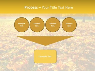 Light Plant Color PowerPoint Template