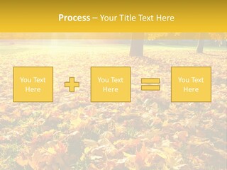 Light Plant Color PowerPoint Template
