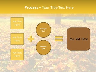 Light Plant Color PowerPoint Template