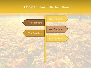 Light Plant Color PowerPoint Template