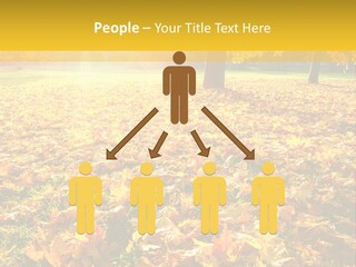Light Plant Color PowerPoint Template