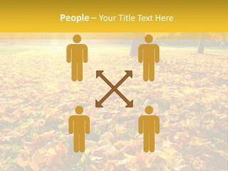Light Plant Color PowerPoint Template