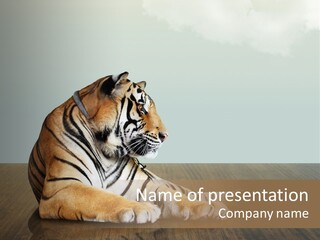 Cat Panther Beautiful PowerPoint Template