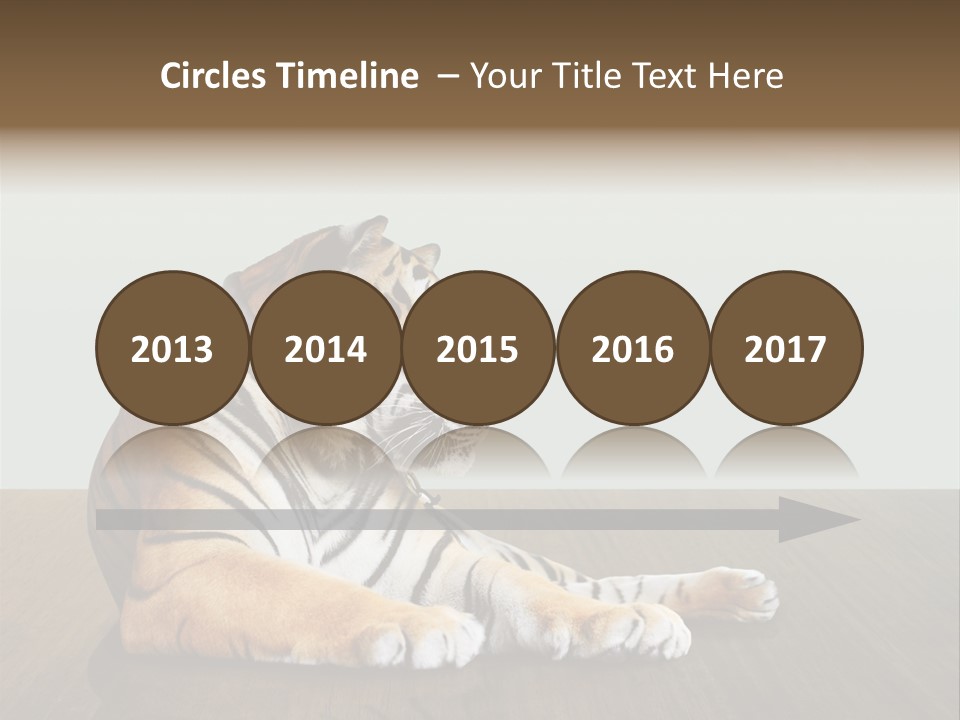 Cat Panther Beautiful PowerPoint Template