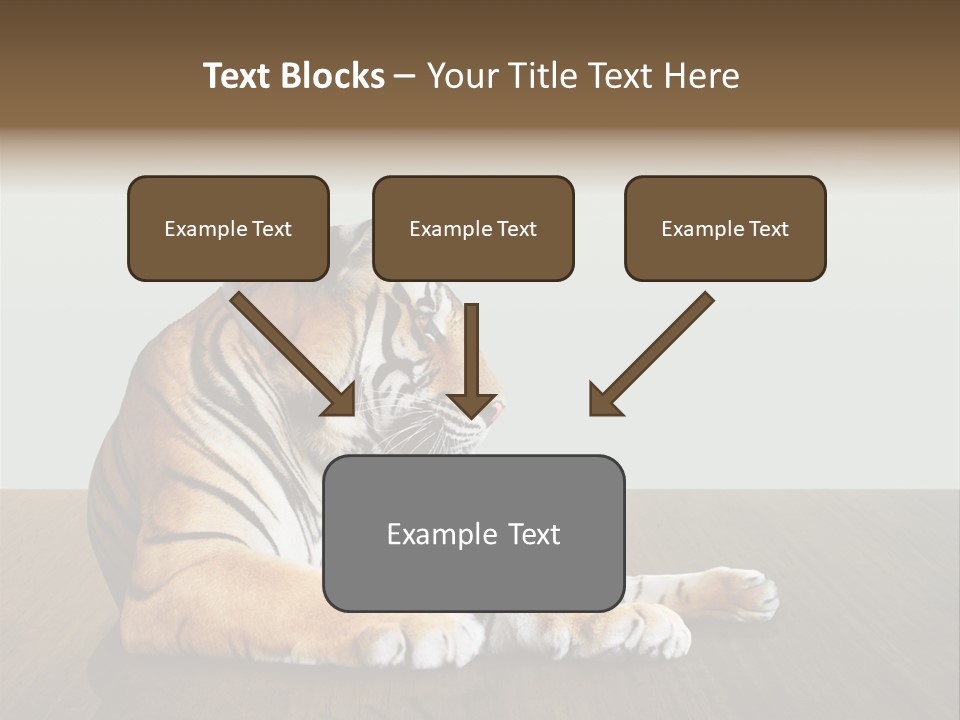 Cat Panther Beautiful PowerPoint Template