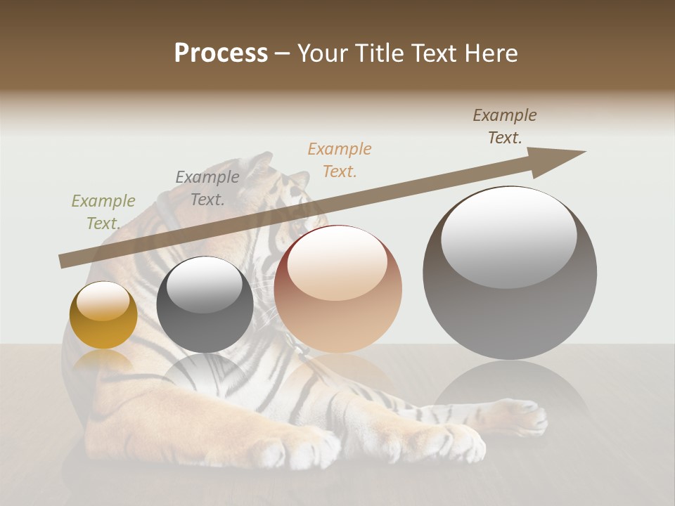 Cat Panther Beautiful PowerPoint Template