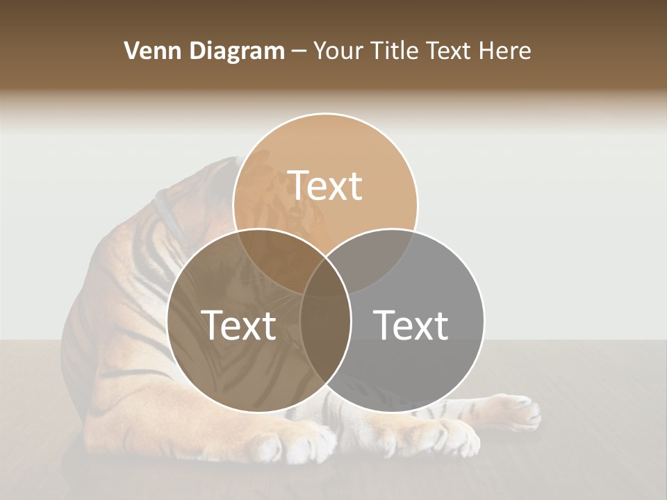 Cat Panther Beautiful PowerPoint Template