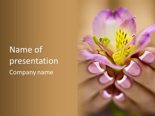 Elegance Macro Color PowerPoint Template