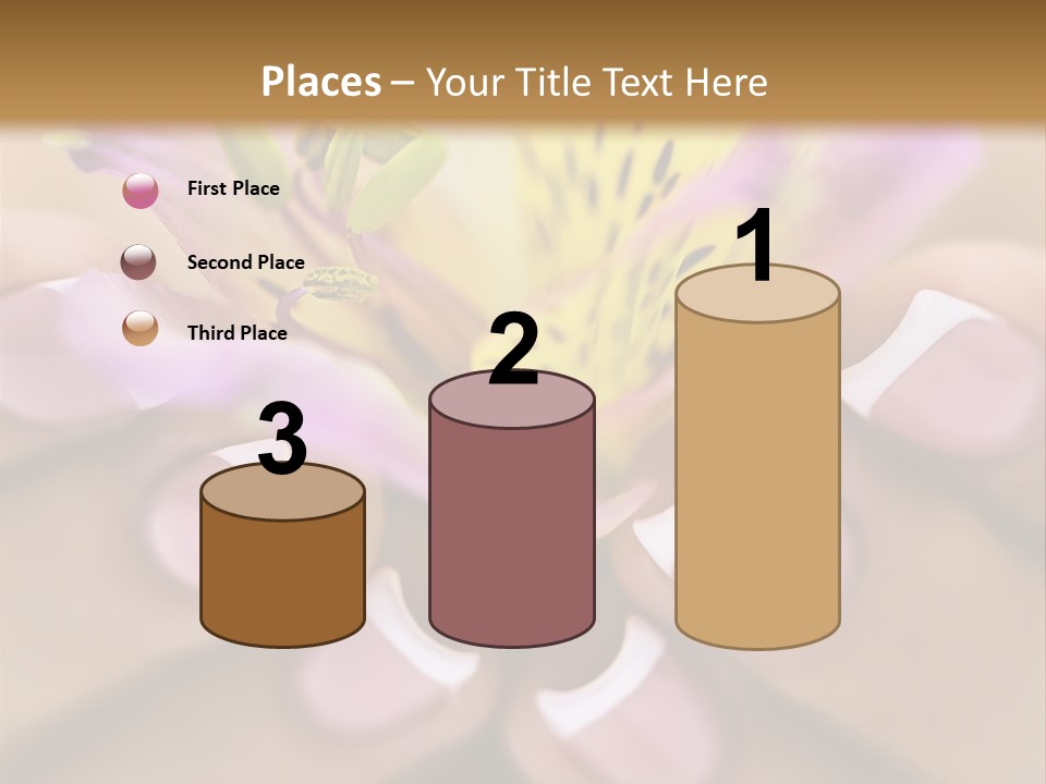 Elegance Macro Color PowerPoint Template