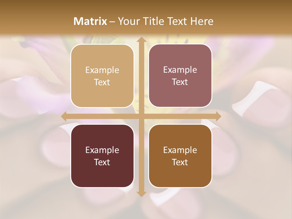 Elegance Macro Color PowerPoint Template