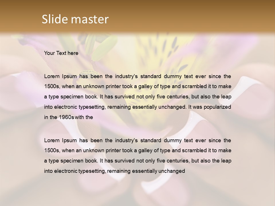 Elegance Macro Color PowerPoint Template