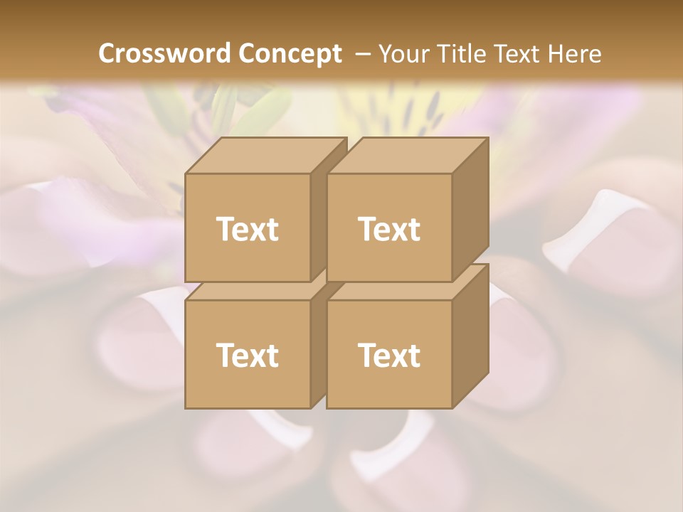 Elegance Macro Color PowerPoint Template