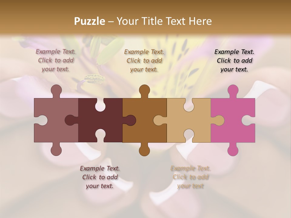 Elegance Macro Color PowerPoint Template