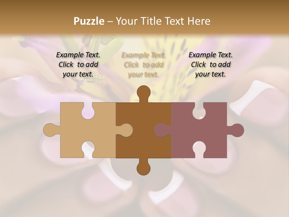 Elegance Macro Color PowerPoint Template