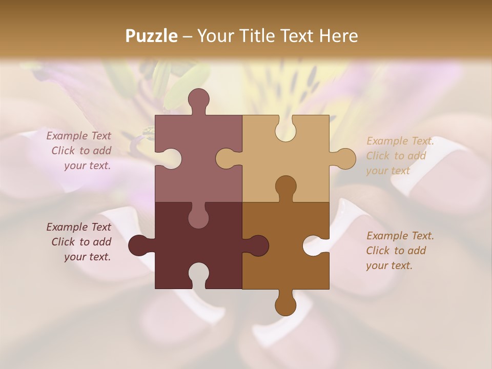 Elegance Macro Color PowerPoint Template
