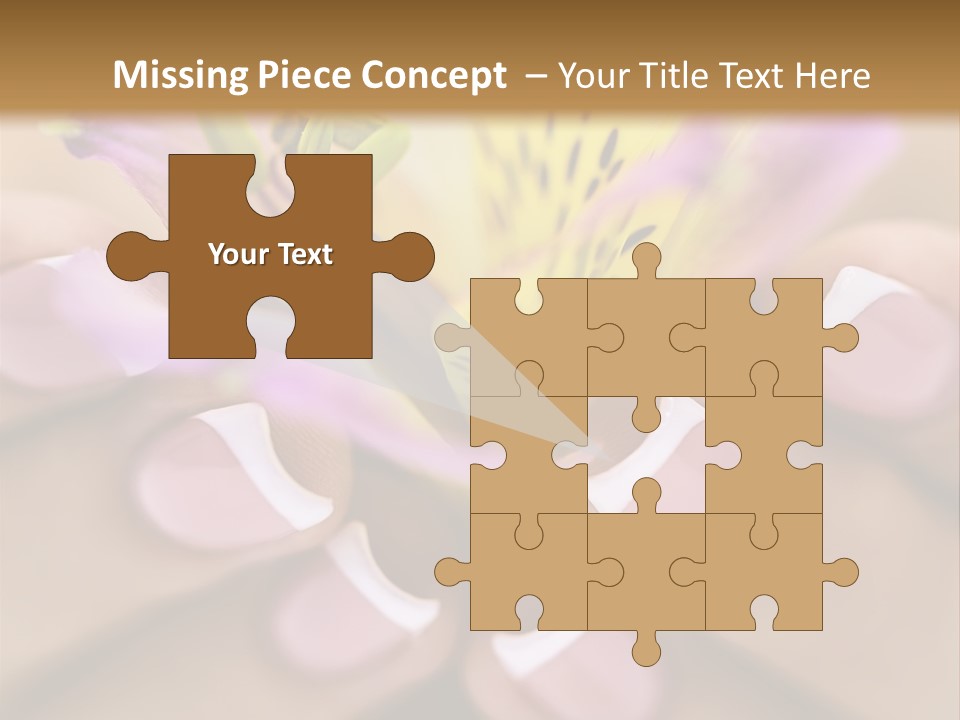 Elegance Macro Color PowerPoint Template