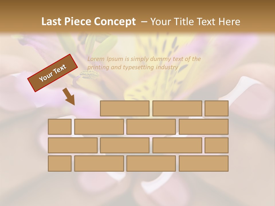 Elegance Macro Color PowerPoint Template