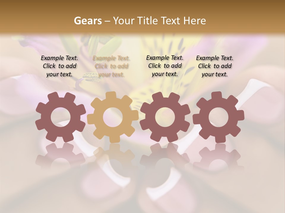 Elegance Macro Color PowerPoint Template