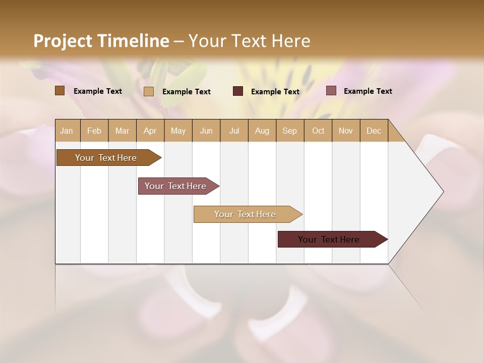 Elegance Macro Color PowerPoint Template
