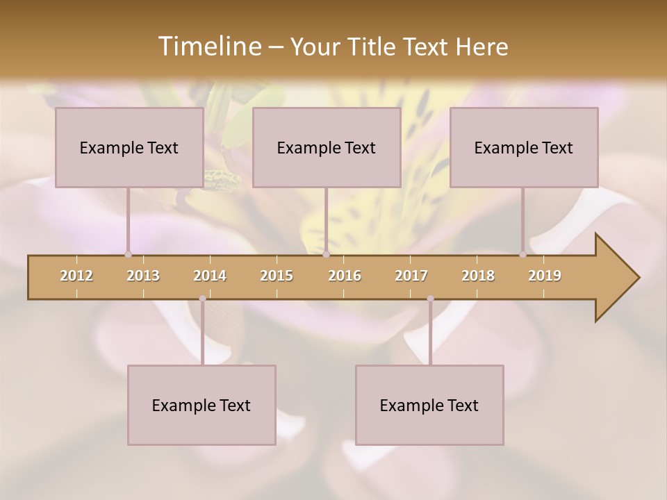 Elegance Macro Color PowerPoint Template